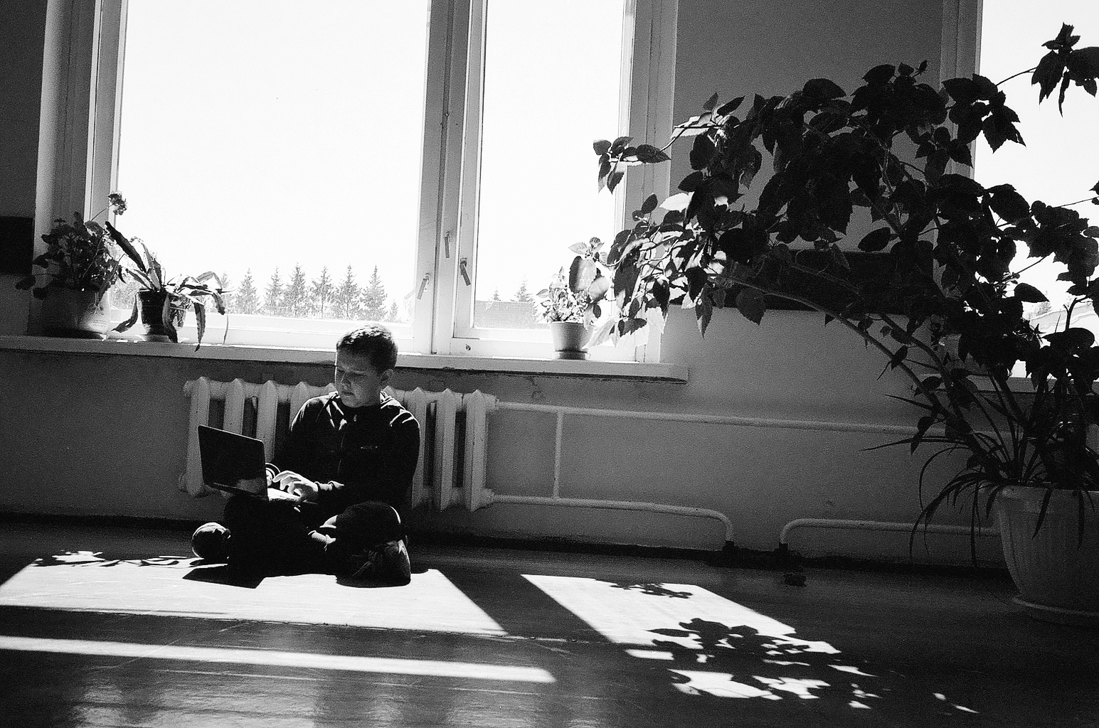 Фото из поездки, школьник создаёт сайт