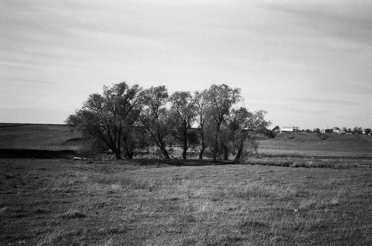 деревья в Сардаяле